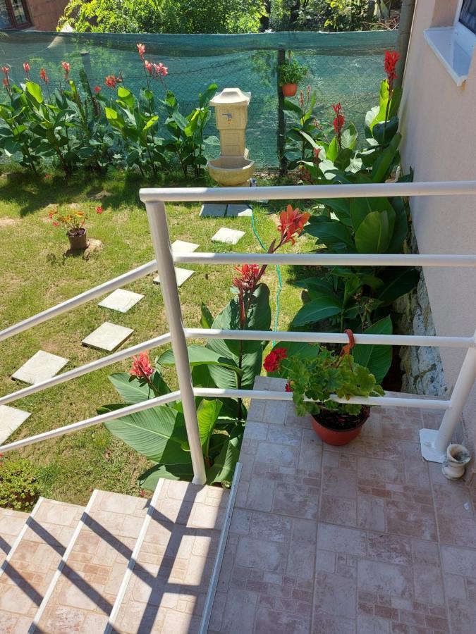 Fenix Apartment & Rooms Винци Экстерьер фото